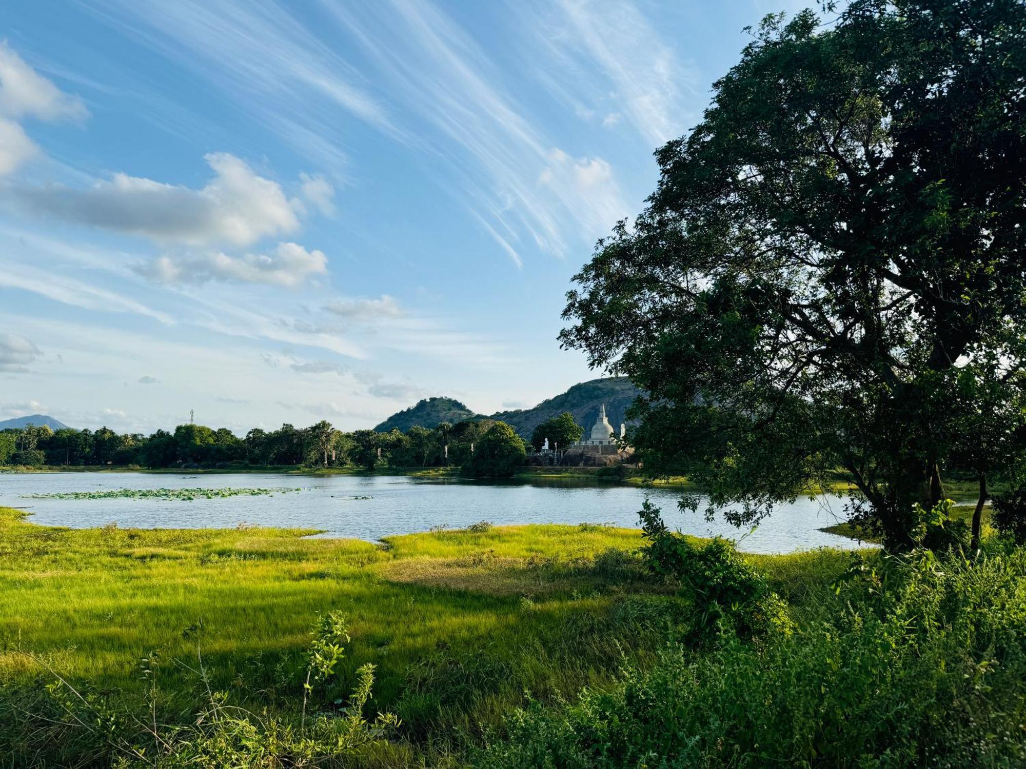 The Green Edge Dambulla Εξωτερικό φωτογραφία