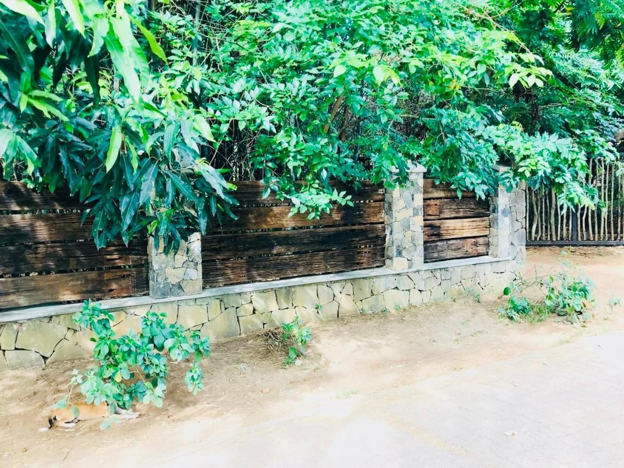 The Green Edge Dambulla Εξωτερικό φωτογραφία